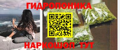 прущие грибы Абинск